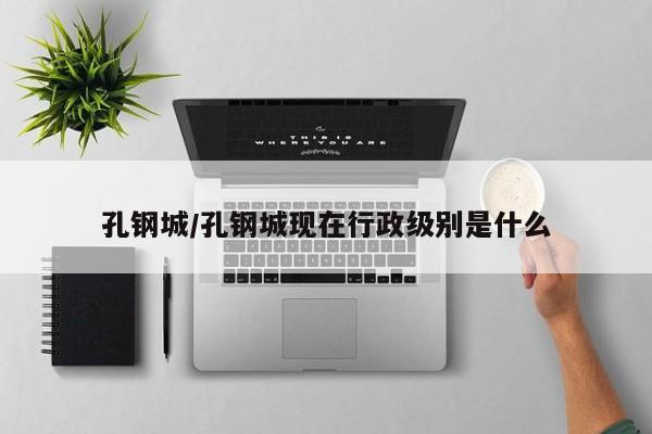 孔钢城/孔钢城现在行政级别是什么