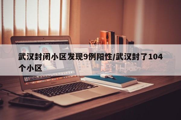 武汉封闭小区发现9例阳性/武汉封了104个小区