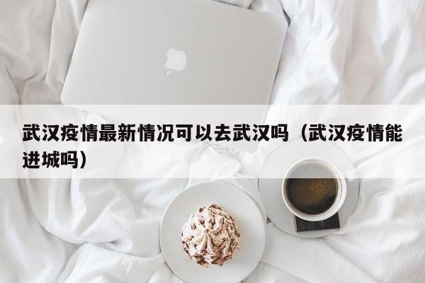 武汉疫情最新情况可以去武汉吗（武汉疫情能进城吗）