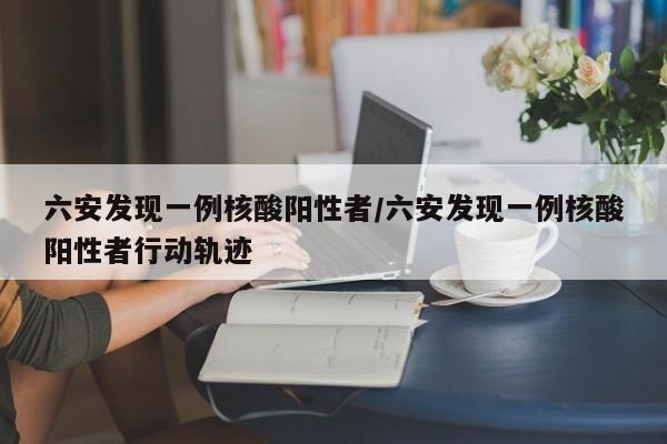 六安发现一例核酸阳性者/六安发现一例核酸阳性者行动轨迹