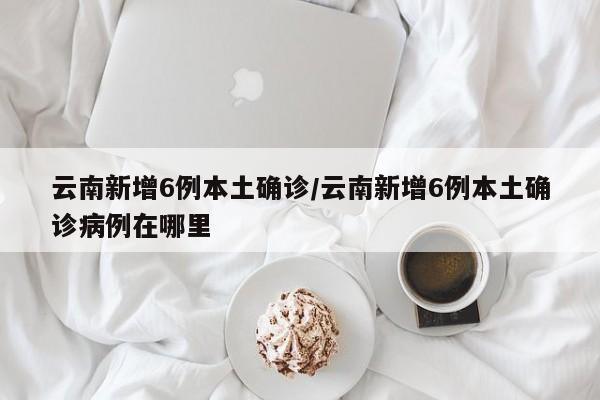 云南新增6例本土确诊/云南新增6例本土确诊病例在哪里