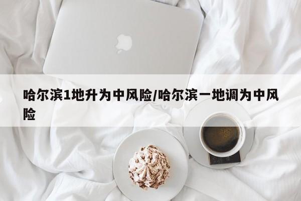 哈尔滨1地升为中风险/哈尔滨一地调为中风险
